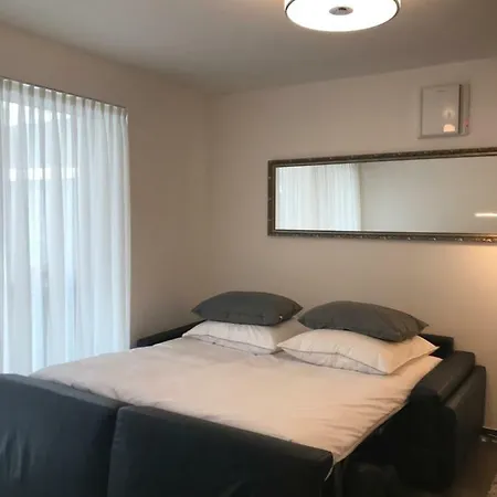 Apartment Schöne Stadtwohnung Nahe Porta Nigra Trier
